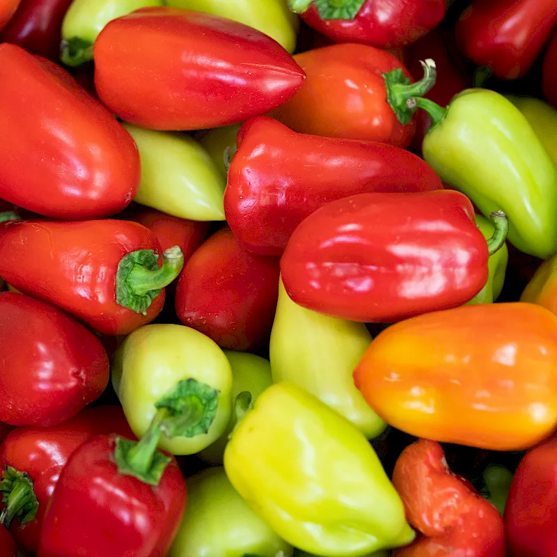 adobestock_453348379