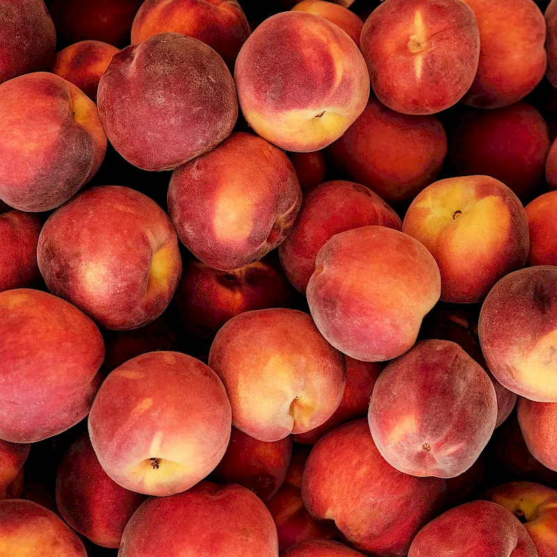 adobestock_252570209