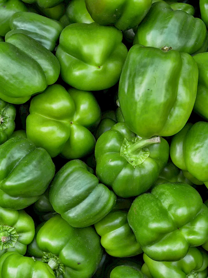 adobestock_168042406