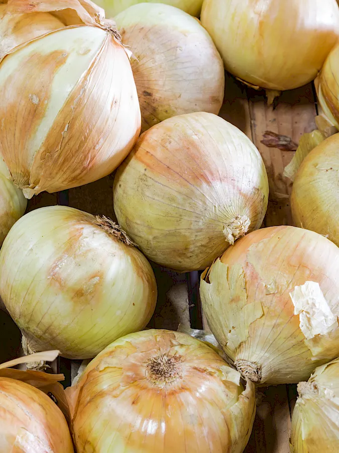 adobestock_160866943_1