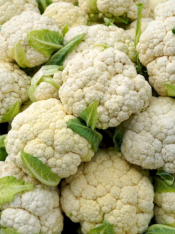 adobestock_305790953