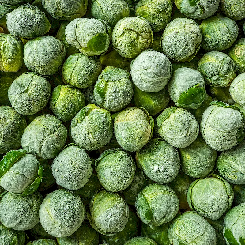 adobestock_473565320_1