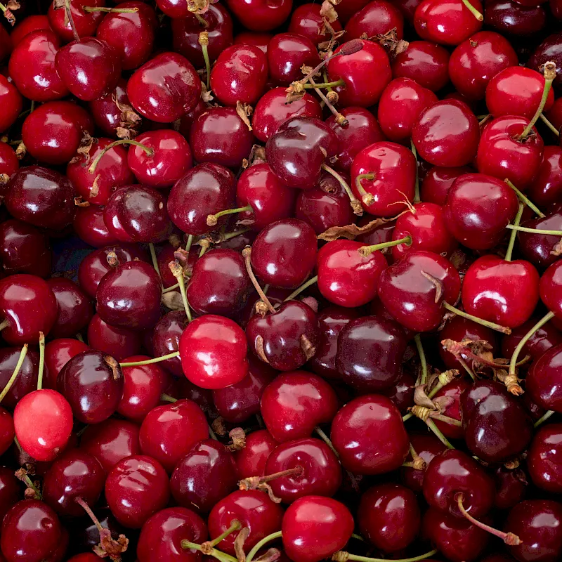 adobestock_157515210