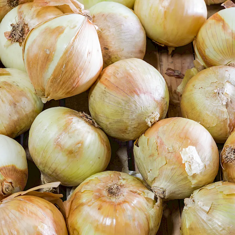 adobestock_160866943_-_copy_-_copy